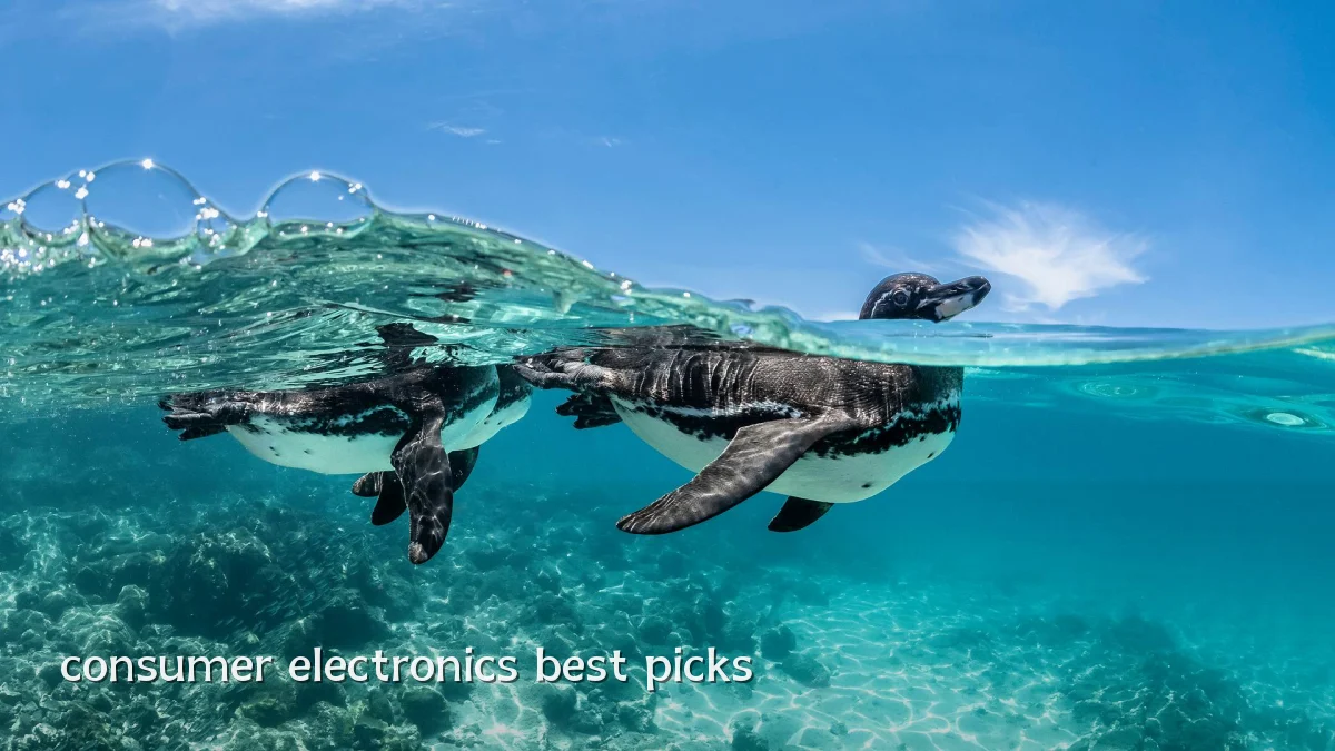 consumer electronics best picks