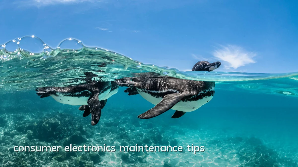 consumer electronics maintenance tips