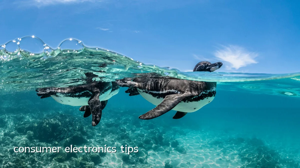 consumer electronics tips