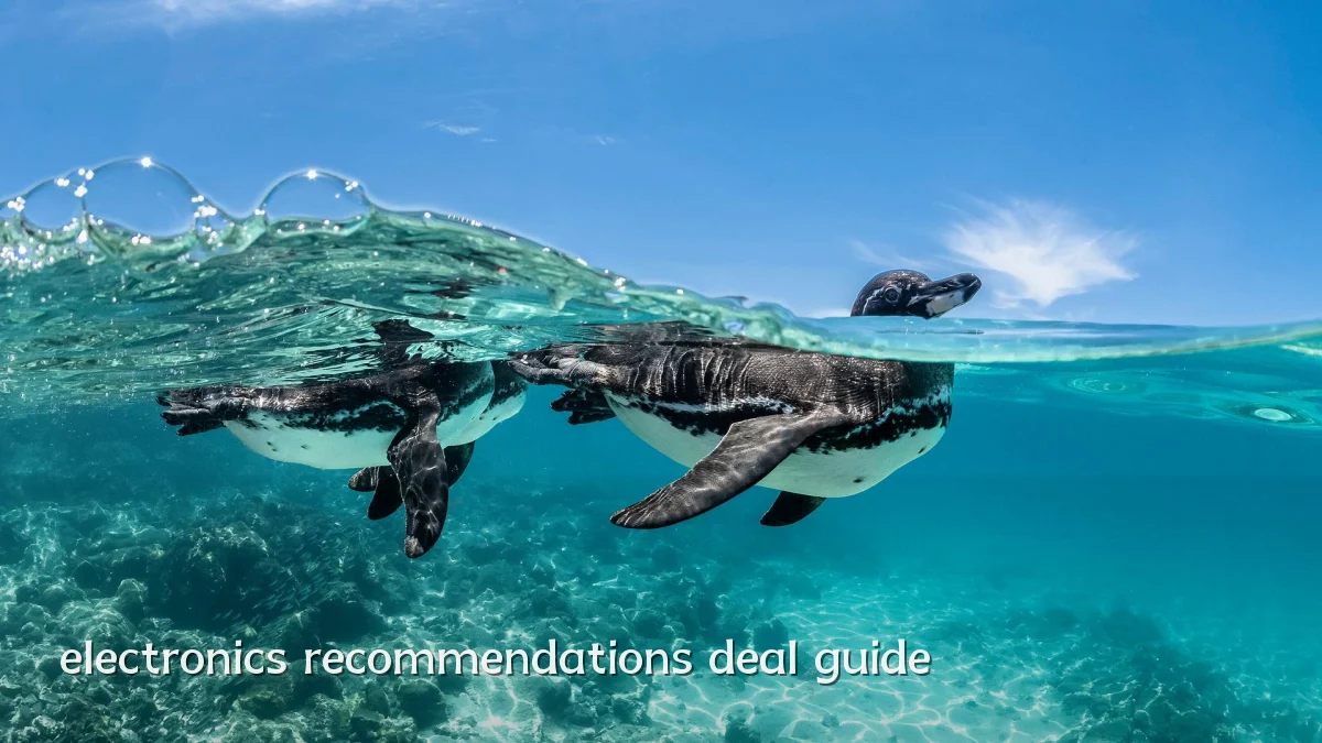 electronics recommendations deal guide