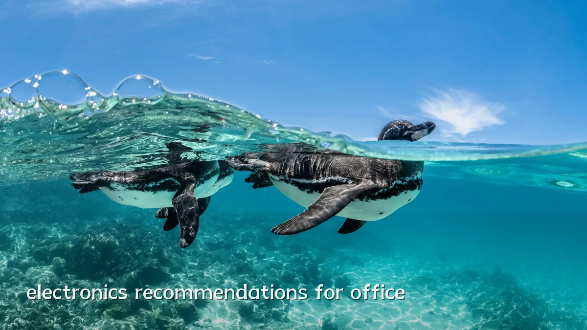electronics recommendations for office