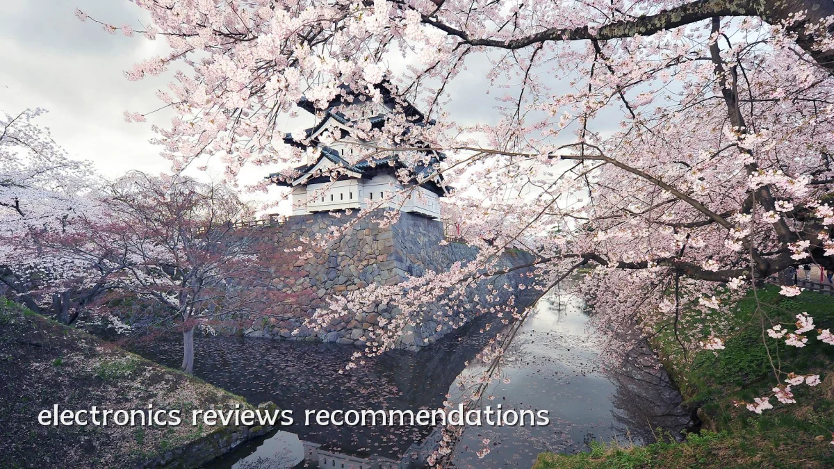 electronics reviews recommendations
