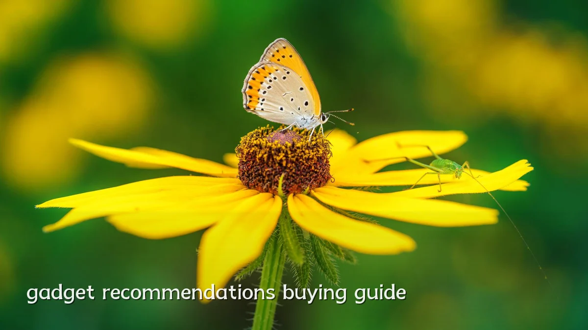gadget recommendations buying guide