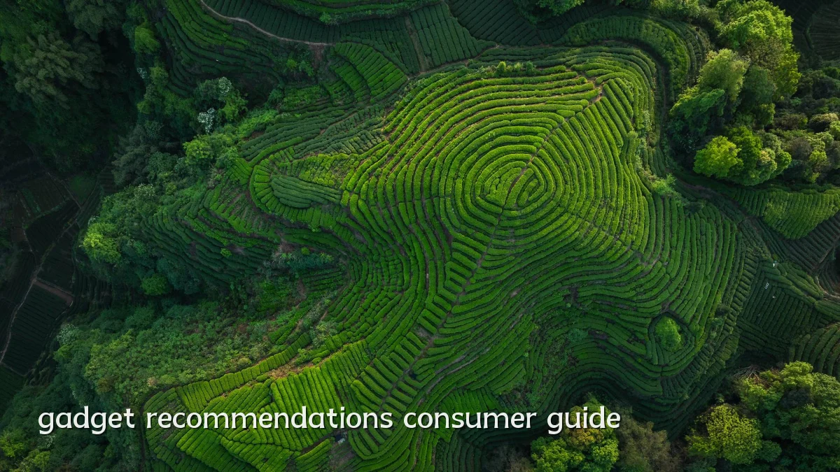 gadget recommendations consumer guide