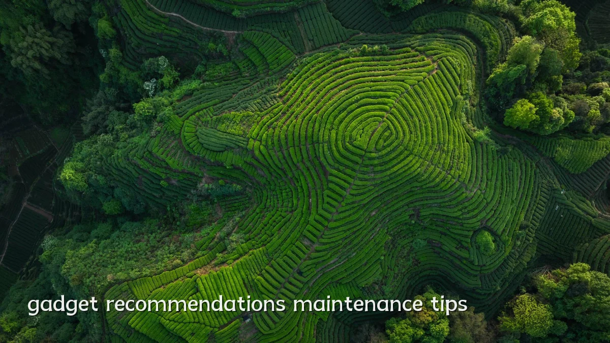 gadget recommendations maintenance tips