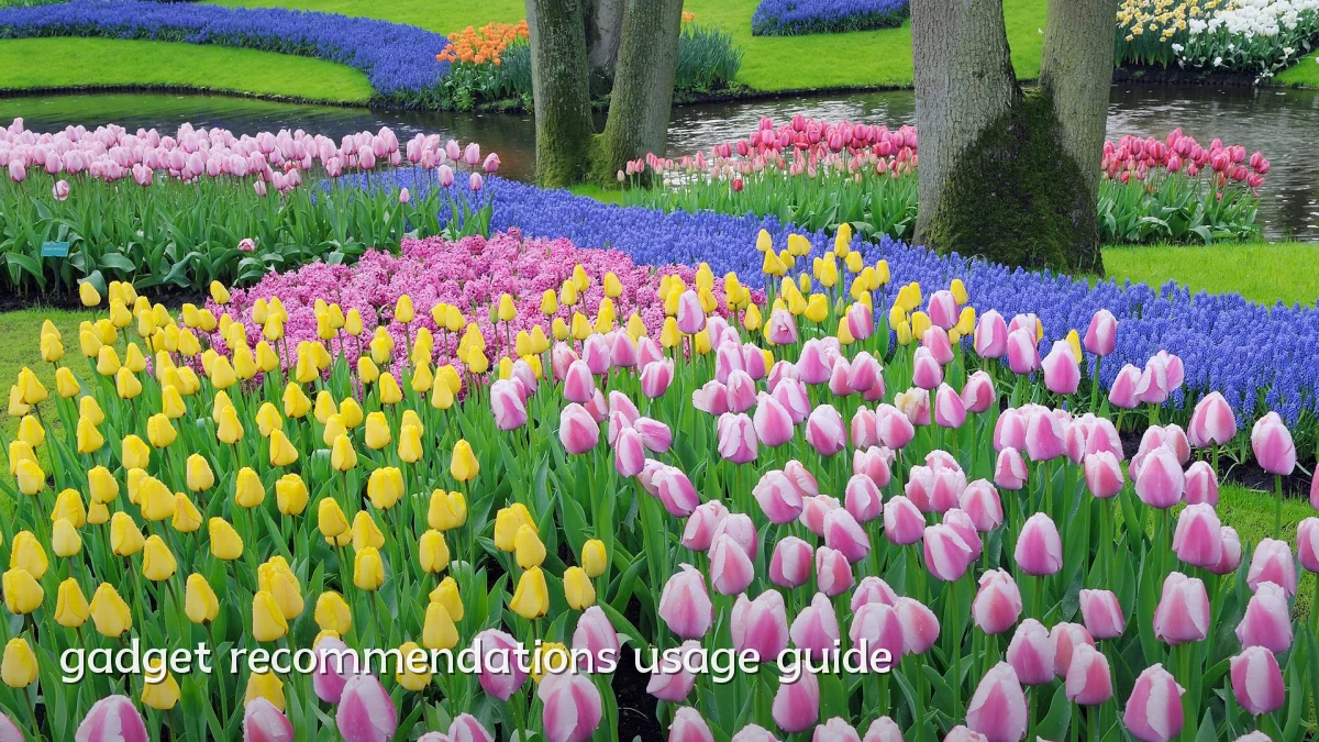 gadget recommendations usage guide