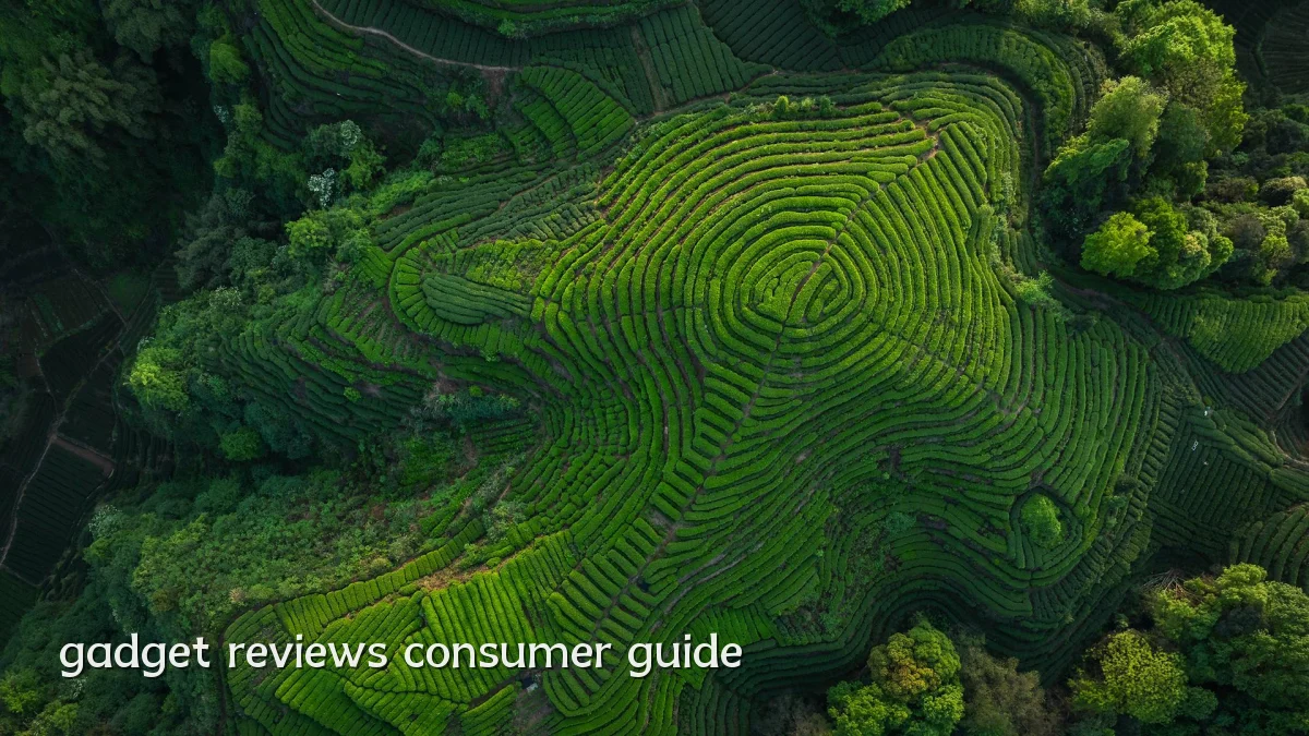 gadget reviews consumer guide