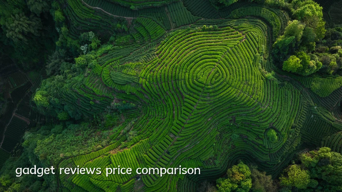 gadget reviews price comparison