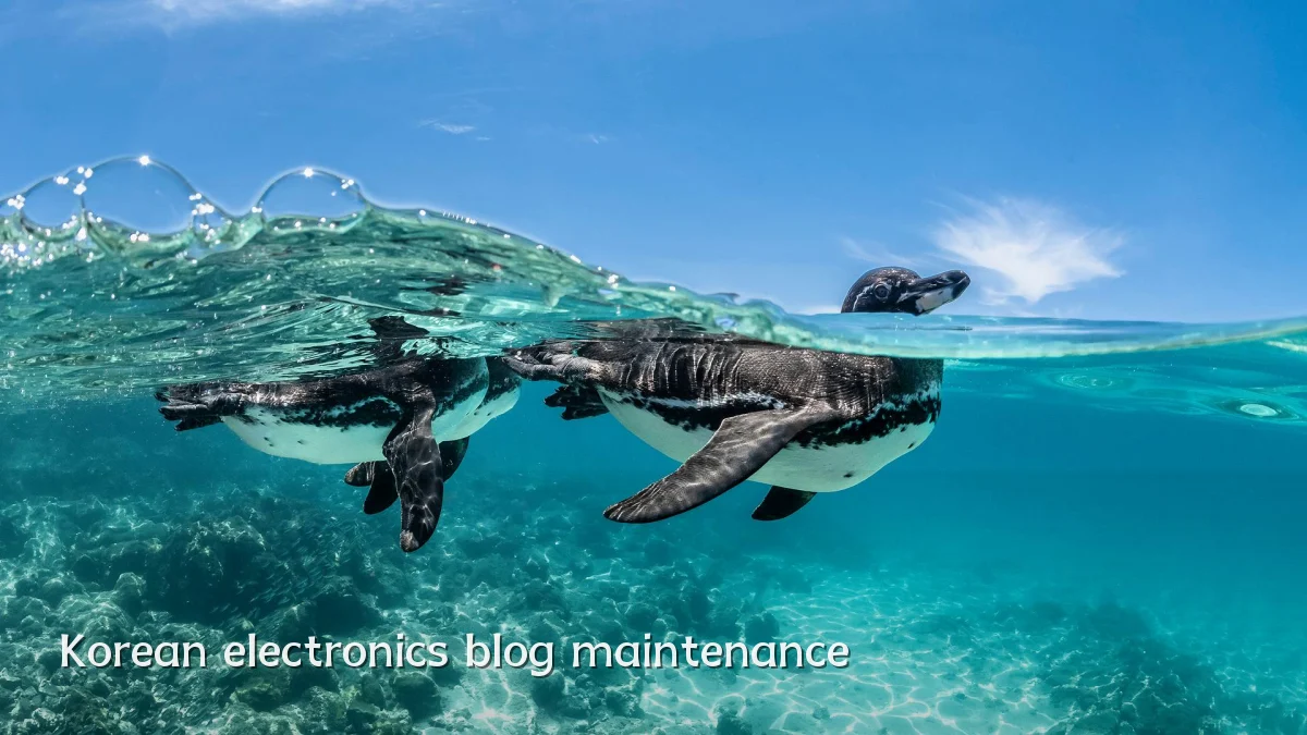 Korean electronics blog maintenance
