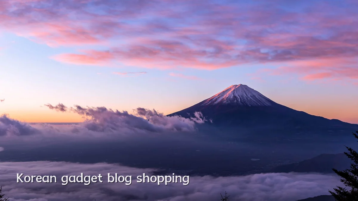 Korean gadget blog shopping