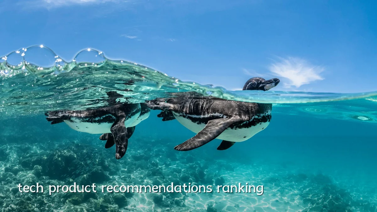tech product recommendations ranking
