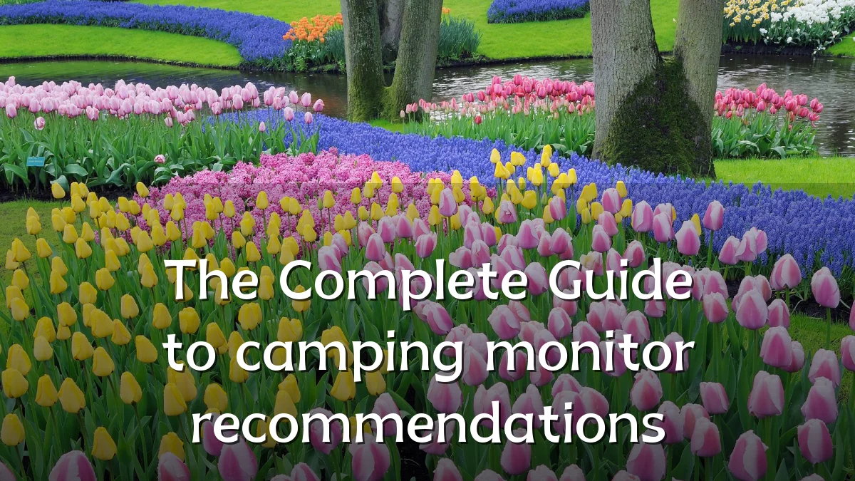 The Complete Guide to camping monitor recommendations