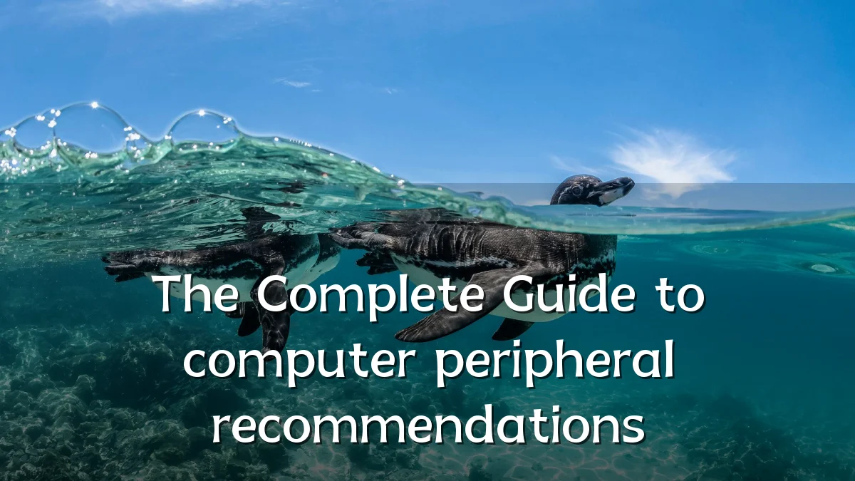 The Complete Guide to computer peripheral recommendations