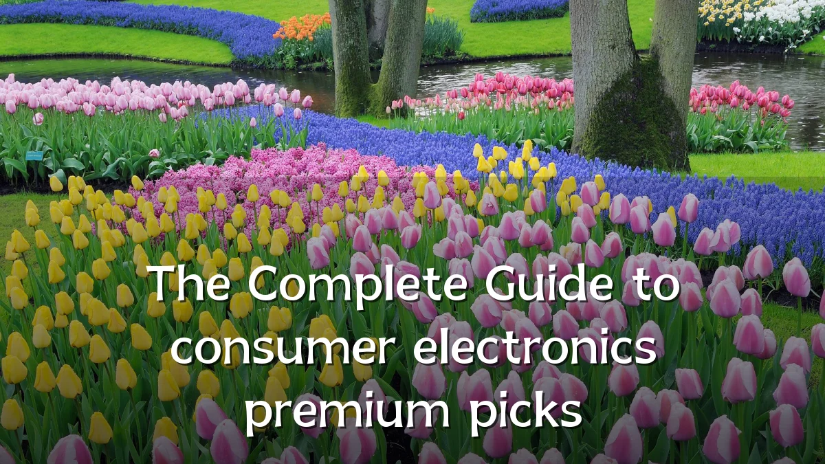 The Complete Guide to consumer electronics premium picks