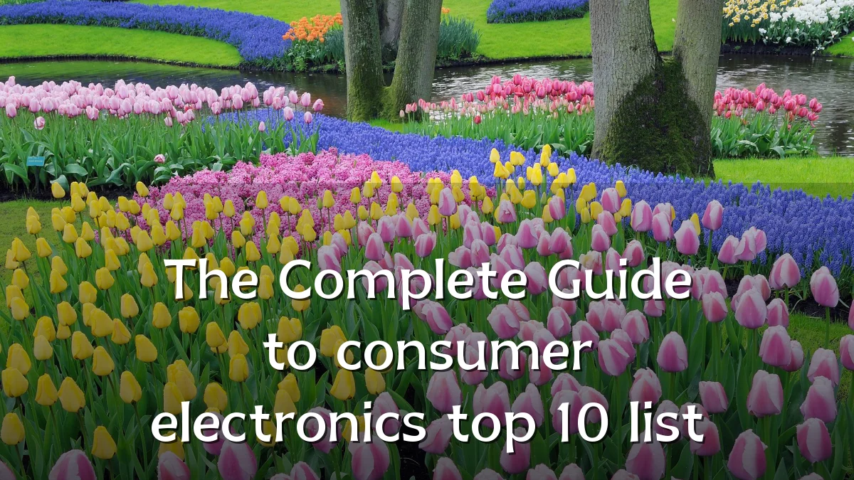 The Complete Guide to consumer electronics top 10 list