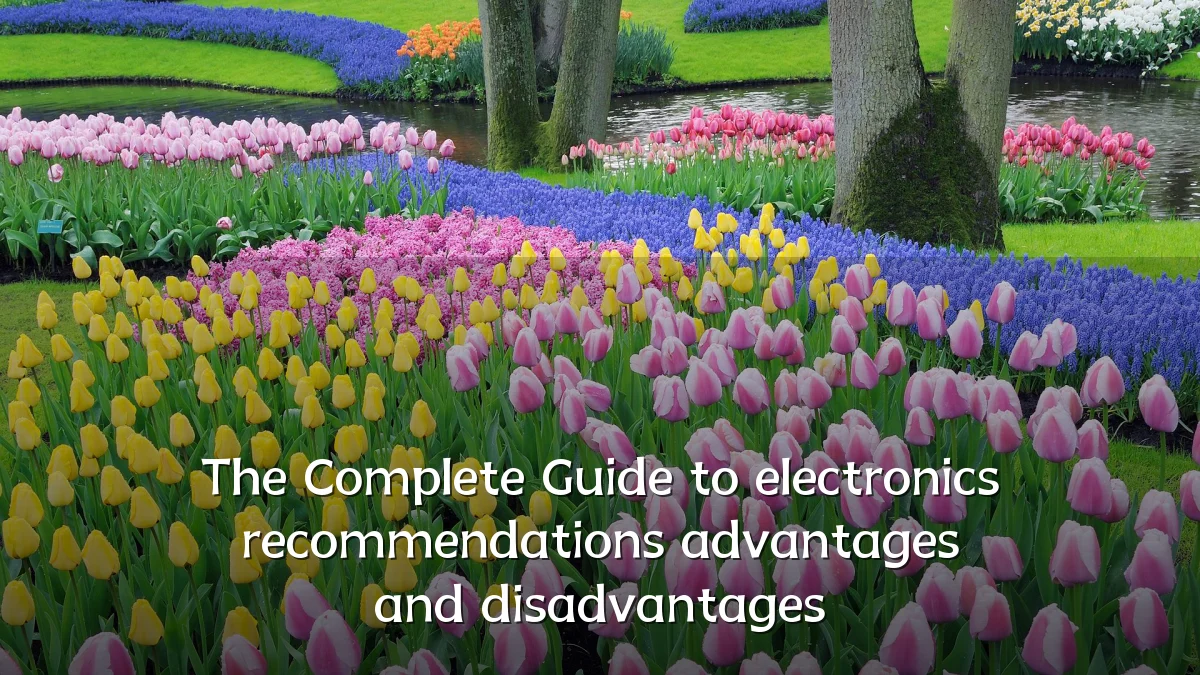 The Complete Guide to electronics recommendations advantages and disadvantages