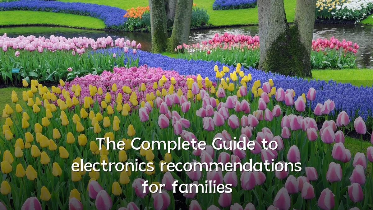 The Complete Guide to electronics recommendations for families