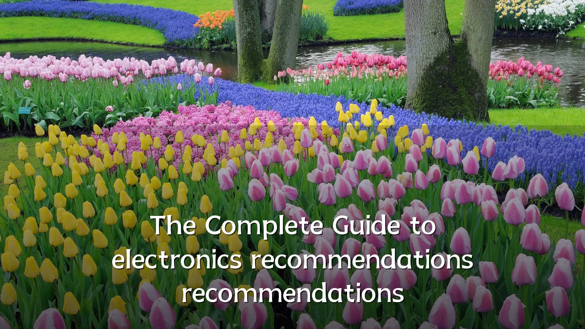 The Complete Guide to electronics recommendations recommendations