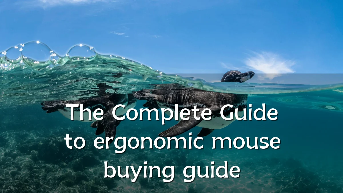 The Complete Guide to ergonomic mouse buying guide