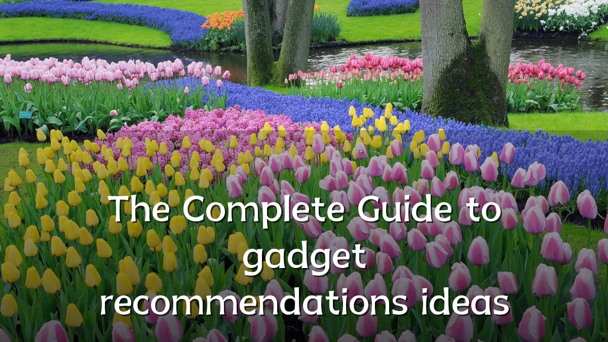 The Complete Guide to gadget recommendations ideas