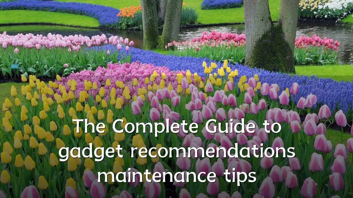 The Complete Guide to gadget recommendations maintenance tips