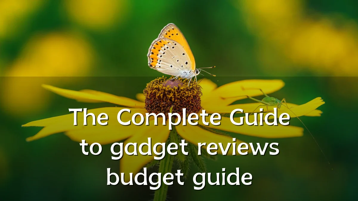 The Complete Guide to gadget reviews budget guide