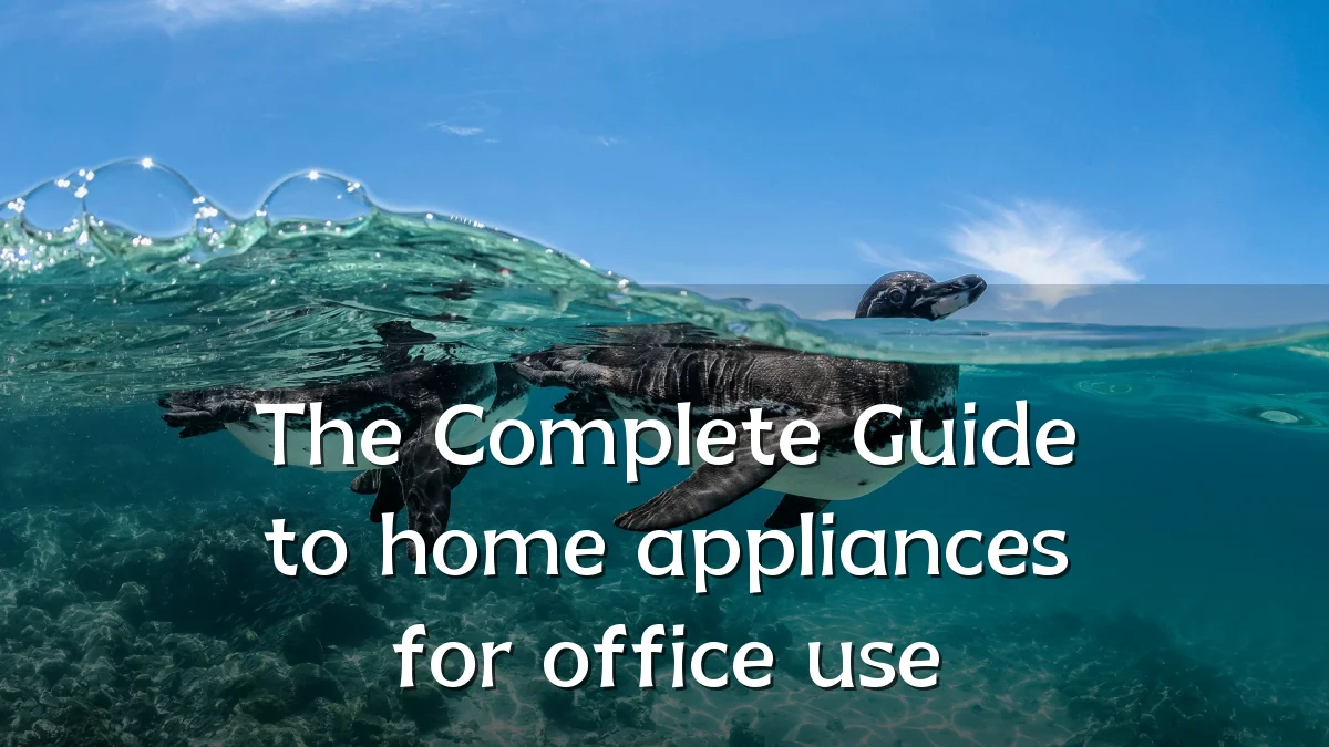 The Complete Guide to home appliances for office use