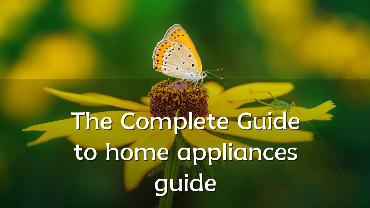 The Complete Guide to home appliances guide