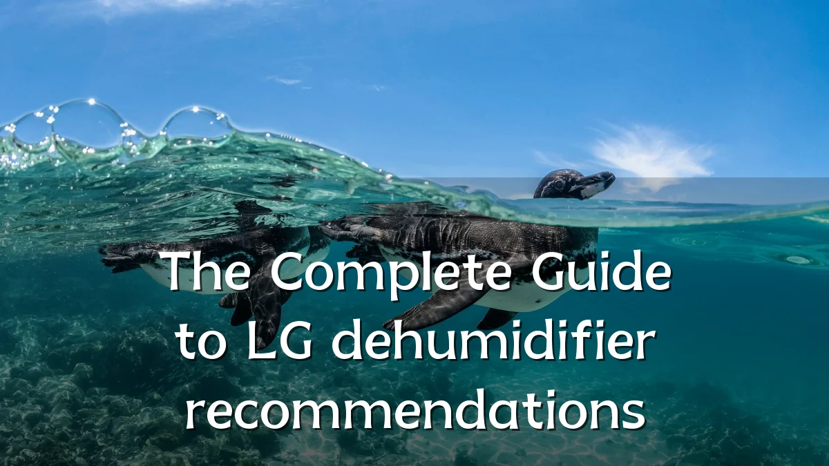 The Complete Guide to LG dehumidifier recommendations