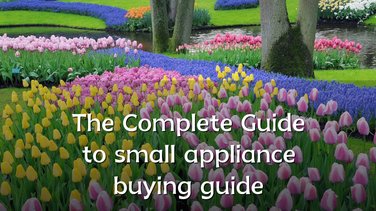 The Complete Guide to small appliance buying guide