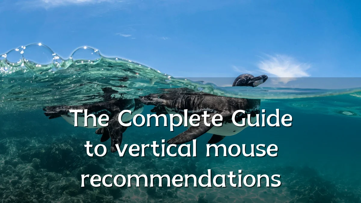 The Complete Guide to vertical mouse recommendations