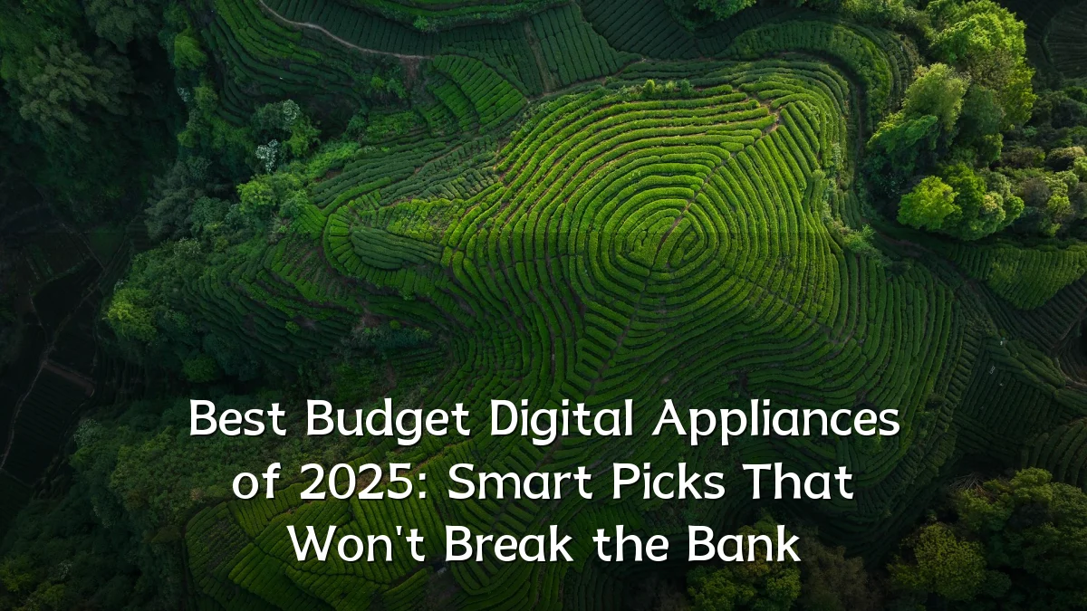 Best Budget Digital Appliances of 2025: Smart Picks That Won't Break the Bank