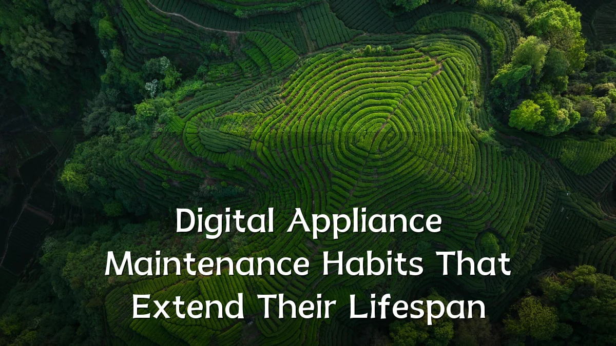 Digital Appliance Maintenance Habits That Extend Their Lifespan