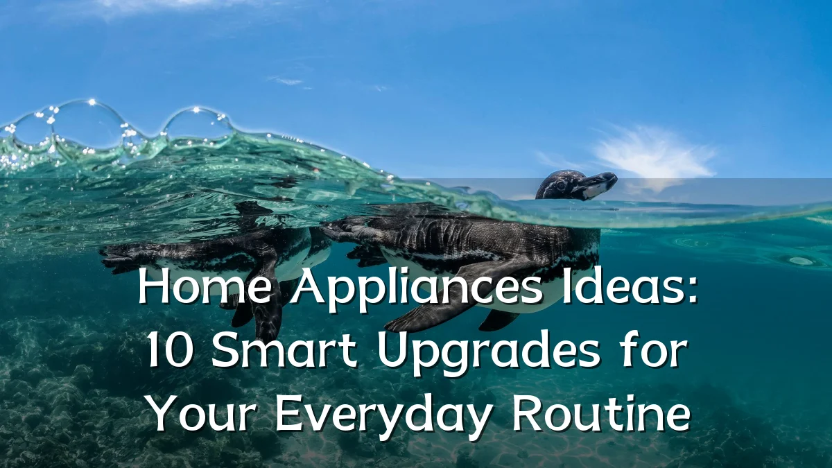 Home Appliances Ideas: 10 Smart Upgrades for Your Everyday Routine