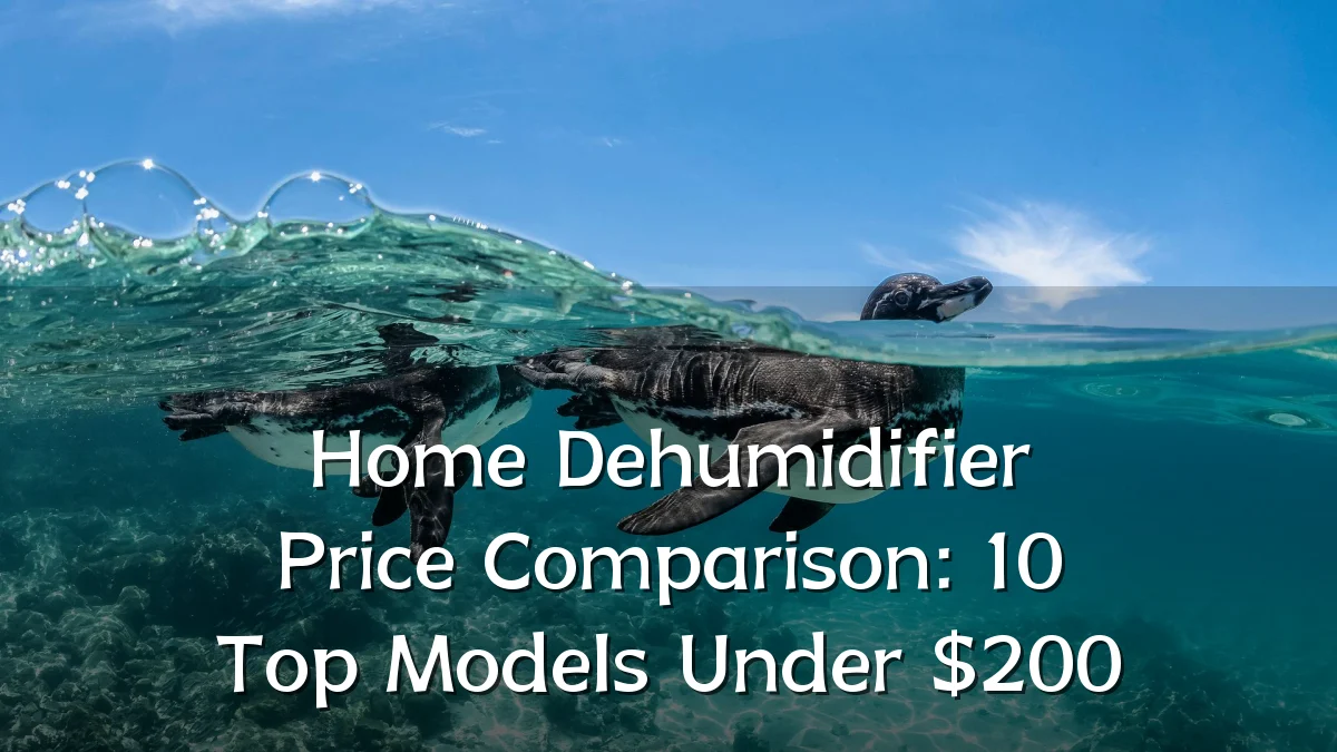 Home Dehumidifier Price Comparison: 10 Top Models Under $200
