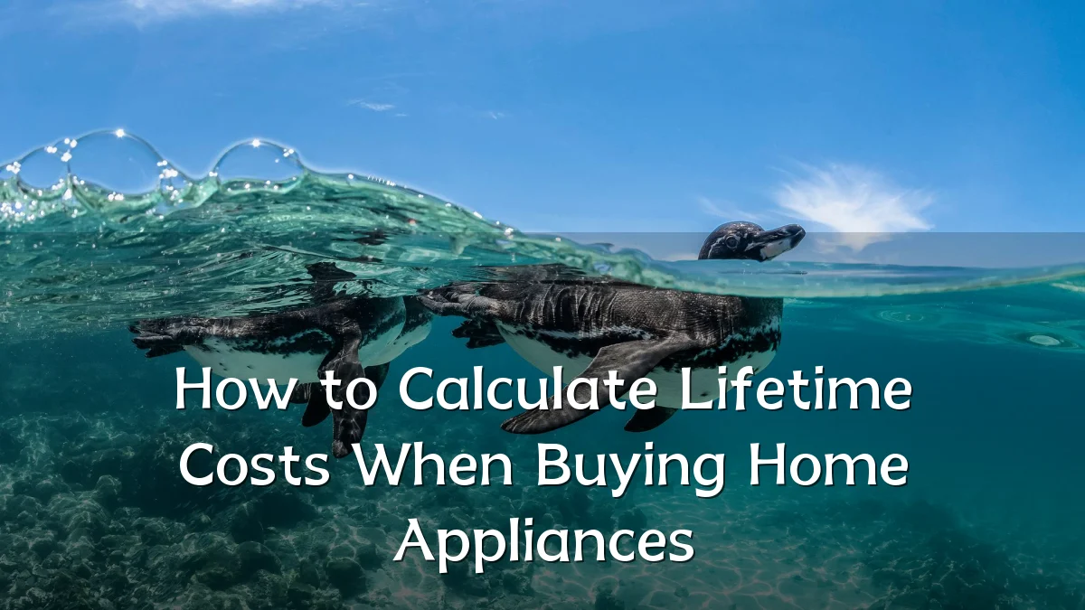 How to Calculate Lifetime Costs When Buying Home Appliances
