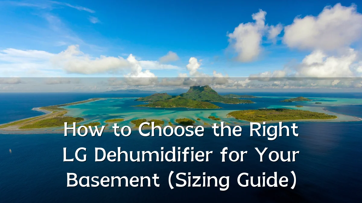 How to Choose the Right LG Dehumidifier for Your Basement (Sizing Guide)