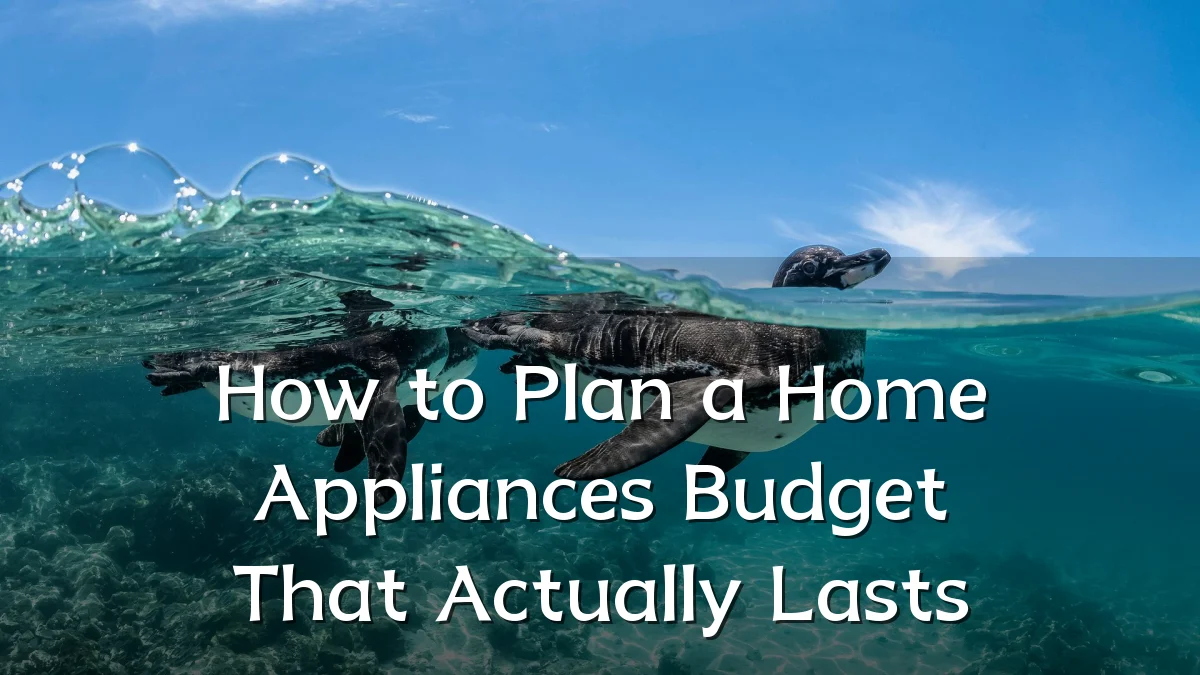 How to Plan a Home Appliances Budget That Actually Lasts