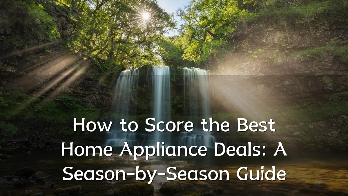 How to Score the Best Home Appliance Deals: A Season-by-Season Guide