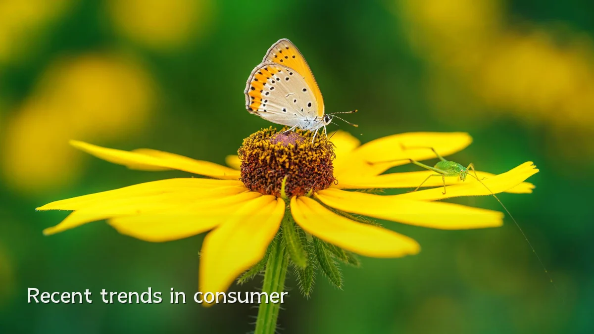 Recent trends in consumer