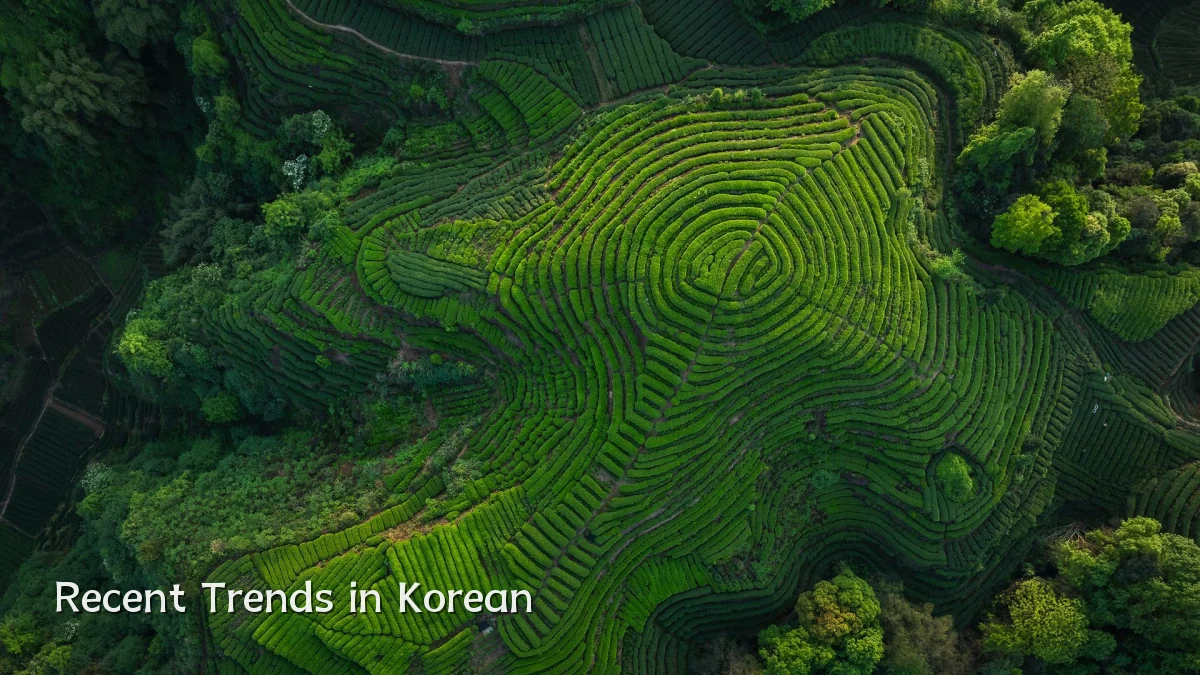 Recent Trends in Korean