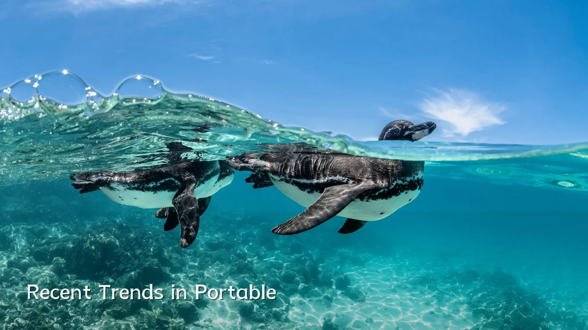 Recent Trends in Portable