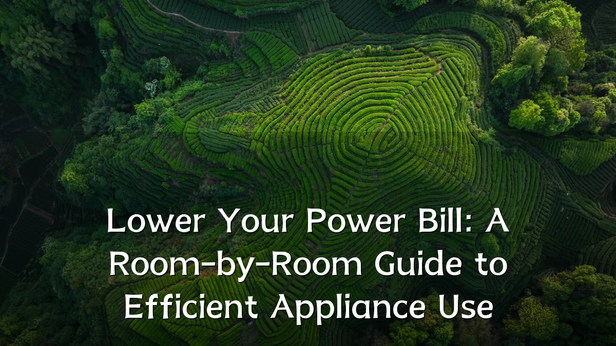 Lower Your Power Bill: A Room-by-Room Guide to Efficient Appliance Use
