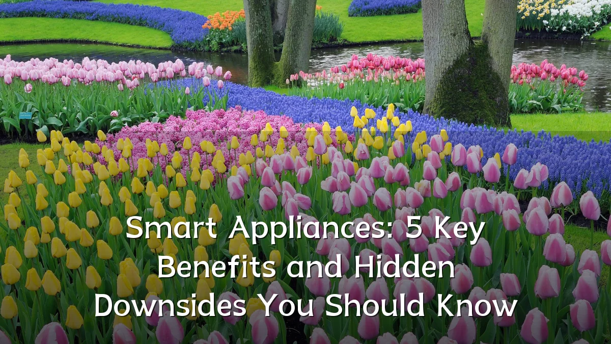 Smart Appliances: 5 Key Benefits and Hidden Downsides You Should Know