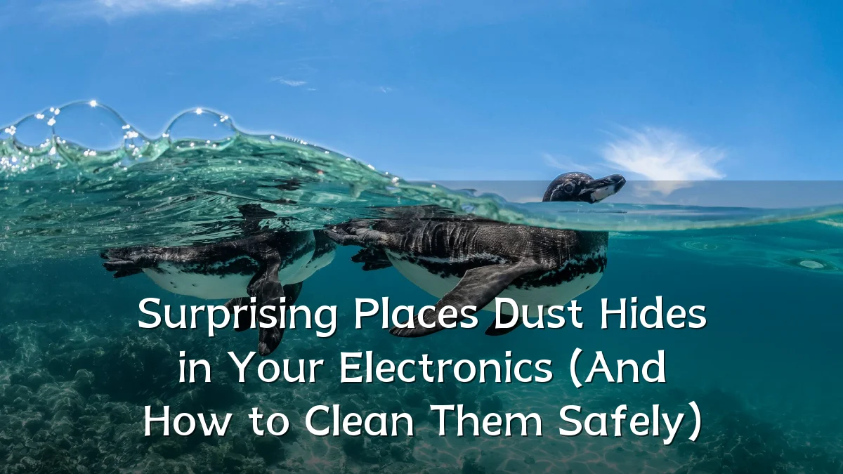 Surprising Places Dust Hides in Your Electronics (And How to Clean Them Safely)