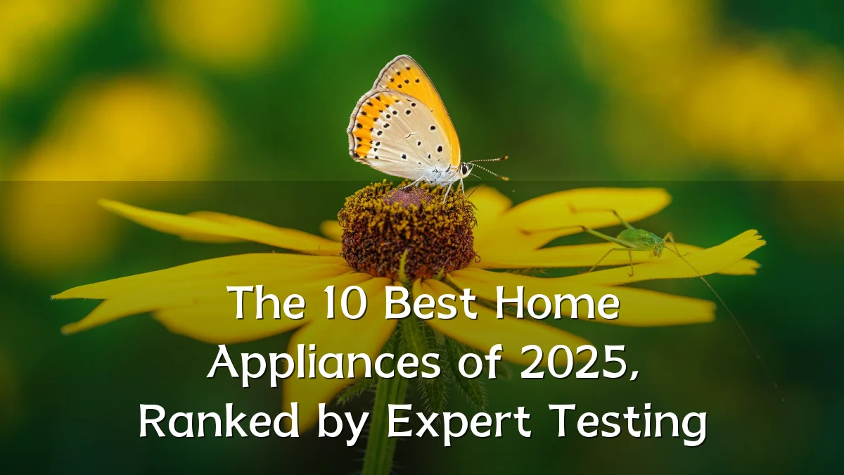 The 10 Best Home Appliances of 2025, Ranked by Expert Testing