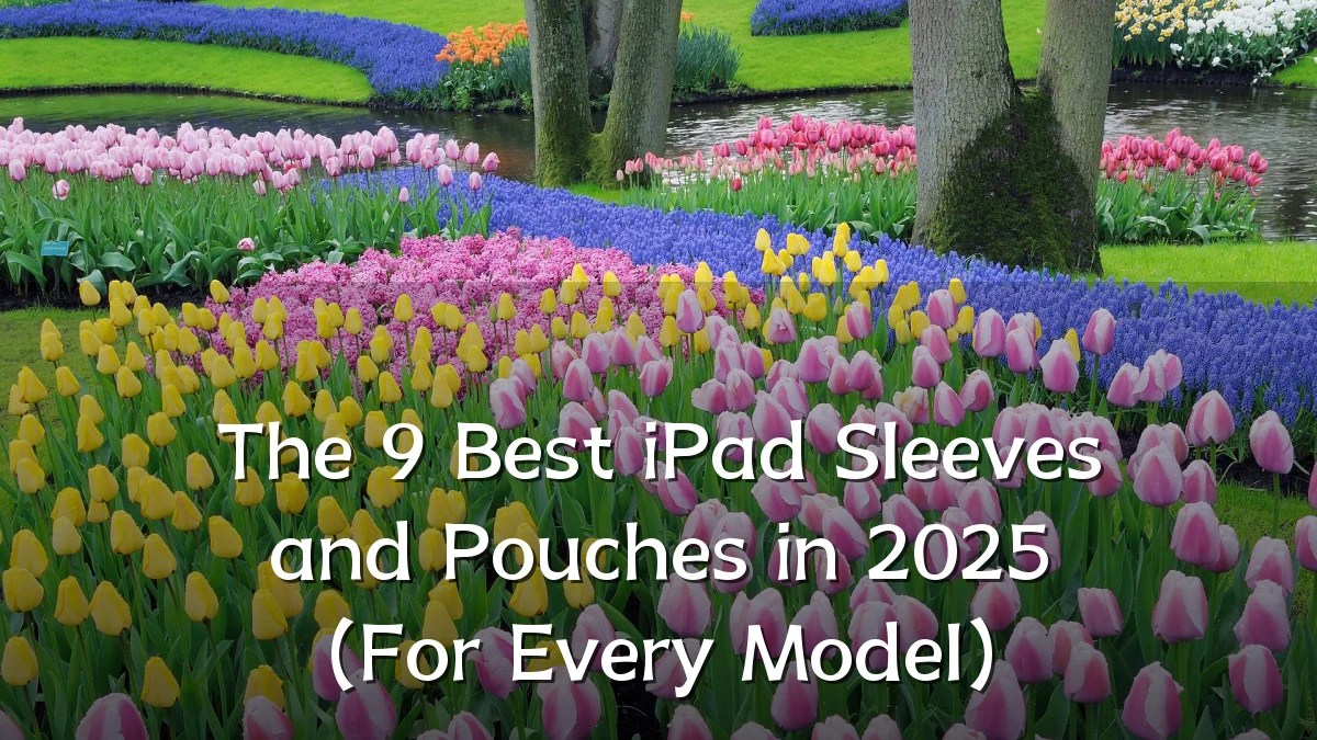 The 9 Best iPad Sleeves and Pouches in 2025 (For Every Model)