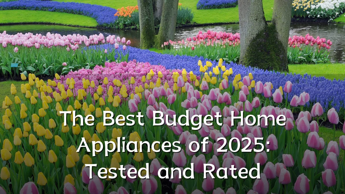The Best Budget Home Appliances of 2025: Tested and Rated
