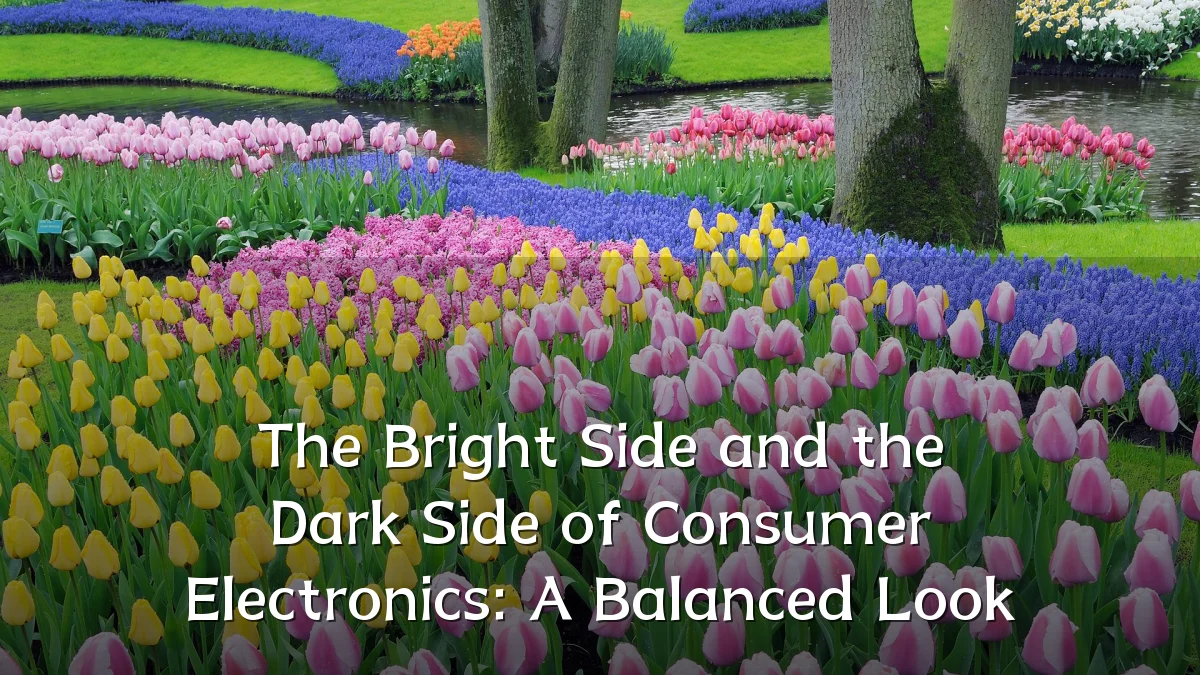 The Bright Side and the Dark Side of Consumer Electronics: A Balanced Look