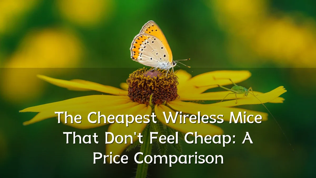 The Cheapest Wireless Mice That Don't Feel Cheap: A Price Comparison